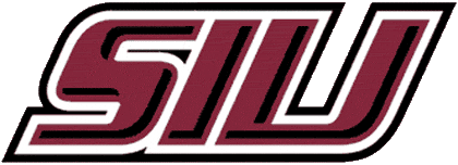Southern Illinois Salukis 2001-Pres Wordmark Logo v2 diy fabric transfers